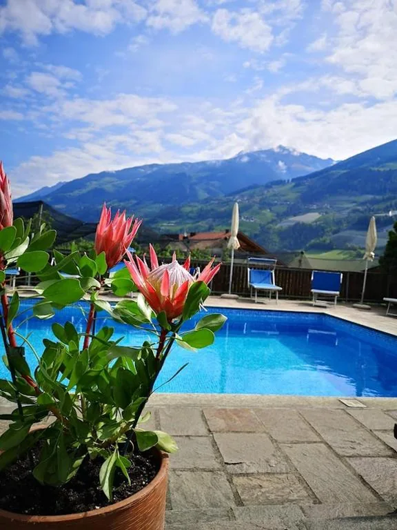 Pension Kleon — foto 4