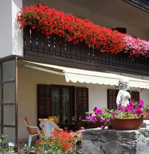Pension Tannenhof — foto 5