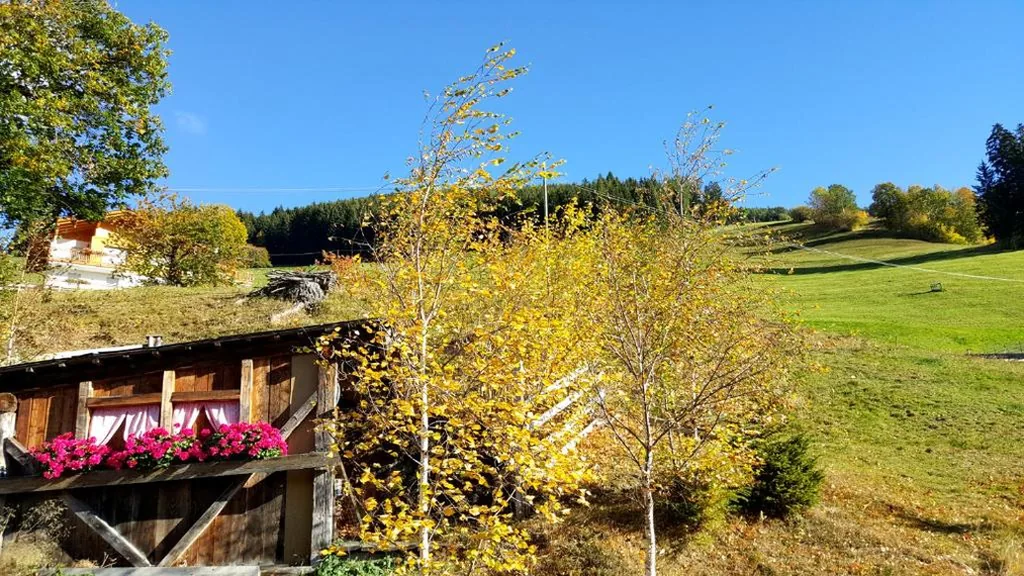 Pension Verdinserhöhe — foto 7