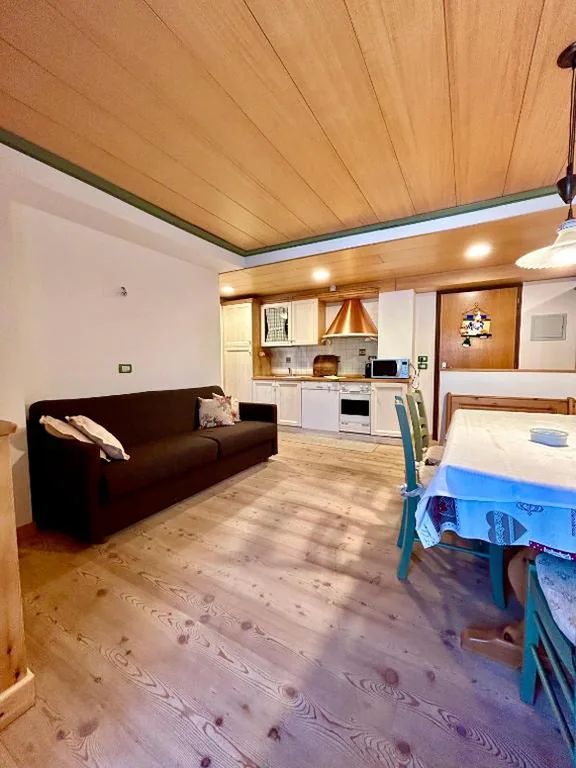 Residence Salvan — foto 4