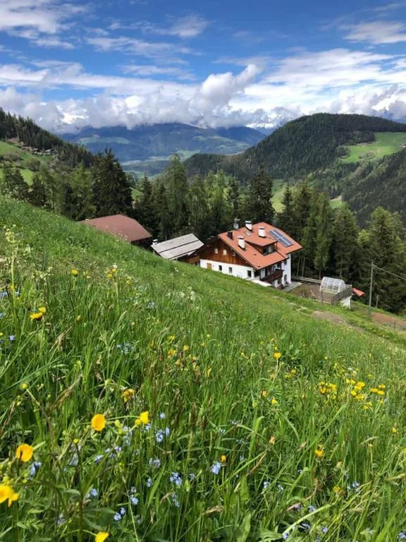 Ringgelinhof Onach — foto 4