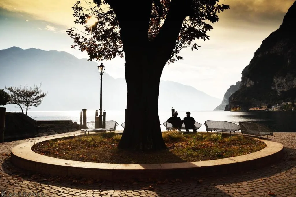 Riva City View — foto 6