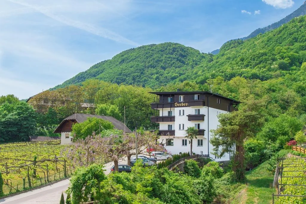 Seeberg Garni Hotel — foto 6