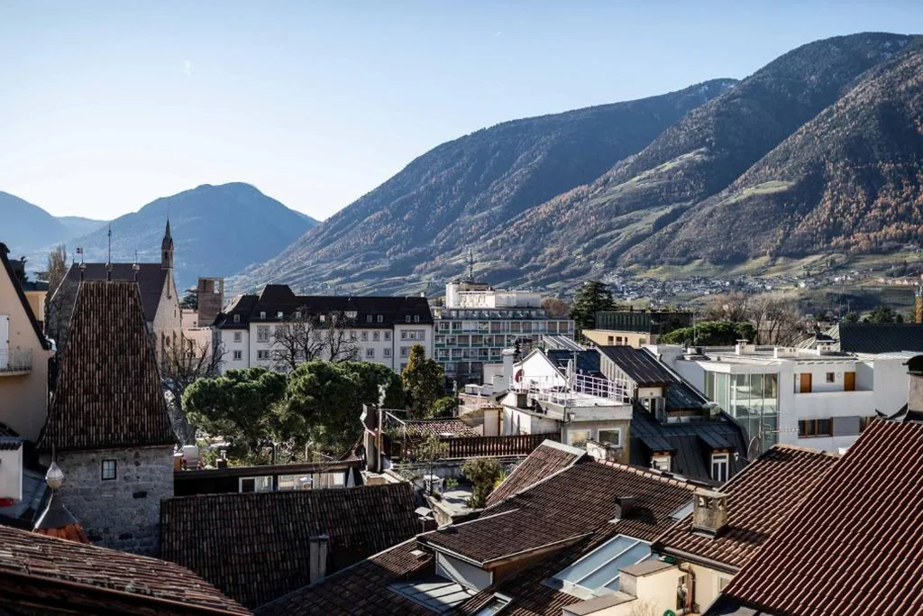 Stay COOPER l Guesthouse zum Löwen — foto 6