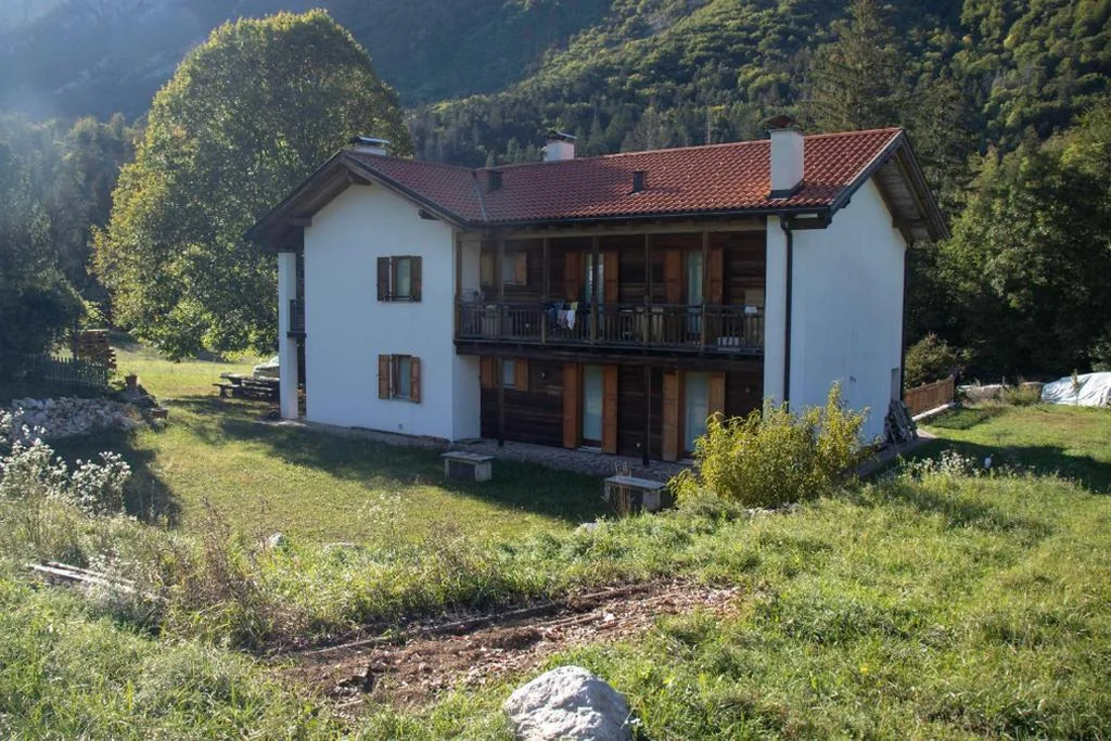 Storie di bosco — foto 5