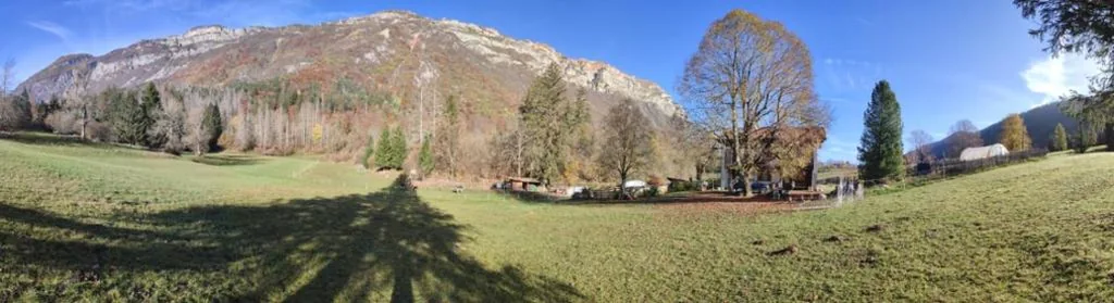 Storie di bosco — foto 8