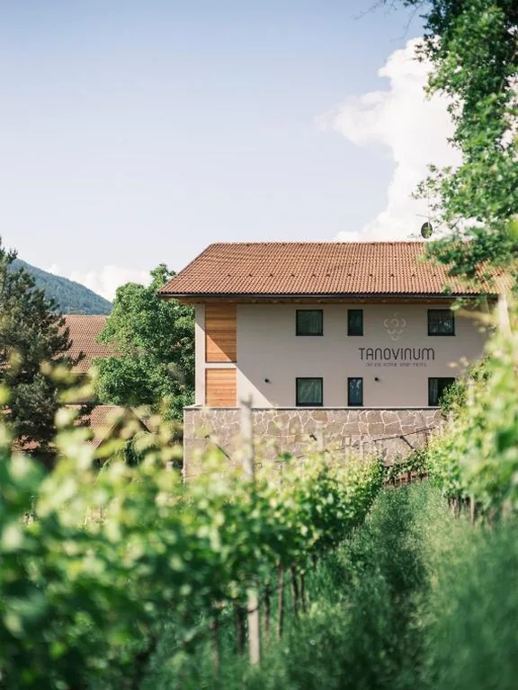 TANOVINUM Apartments — foto 8