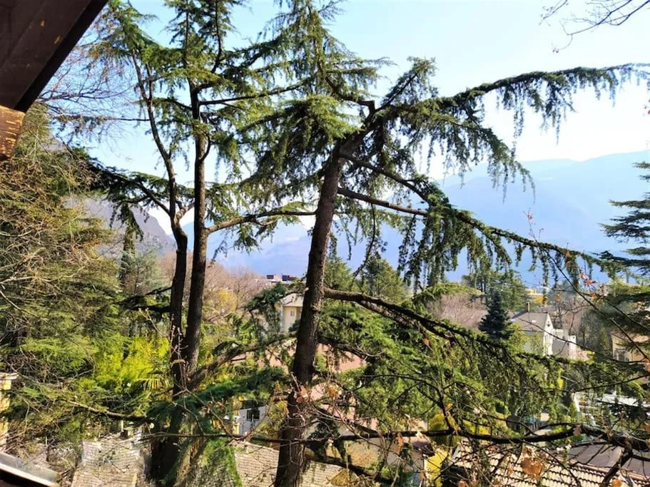 TORRE GARDEN HOME – casa singola nella città di Bolzano con giardino privato — foto 4