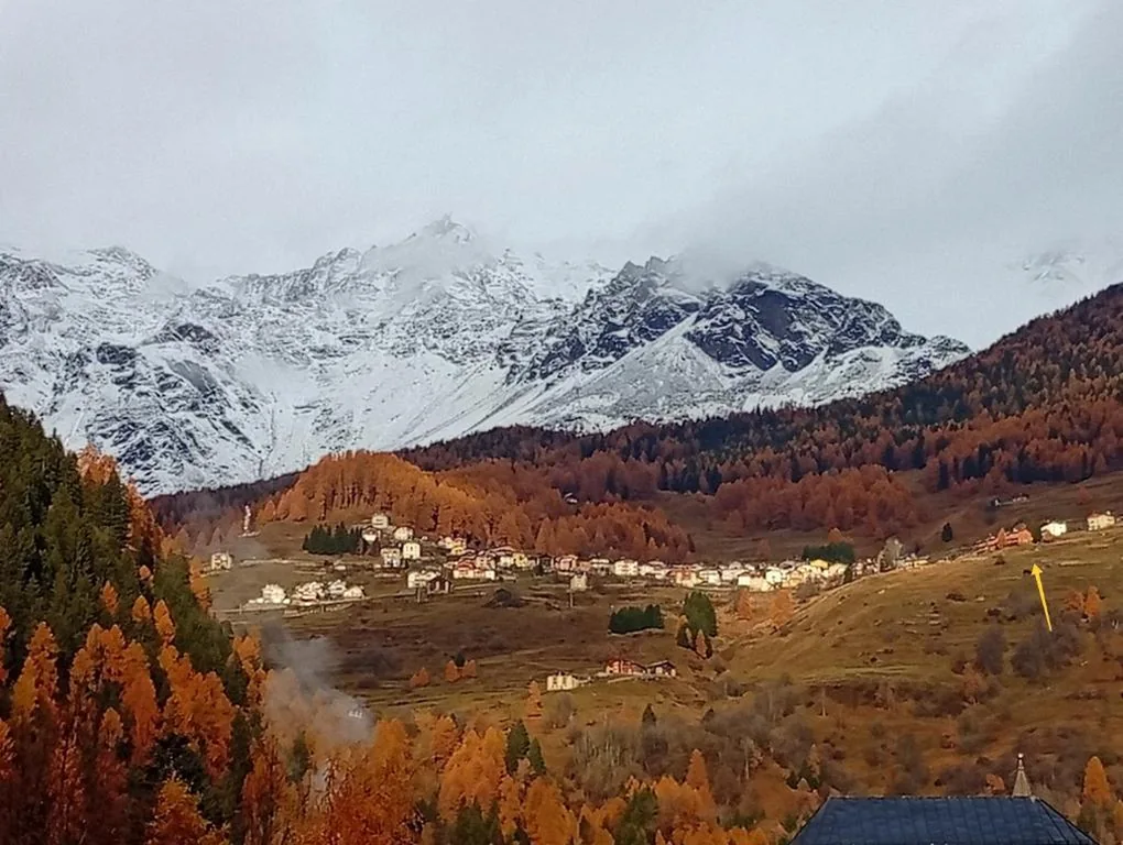 Un balcone sulla Val di Pejo — foto 4