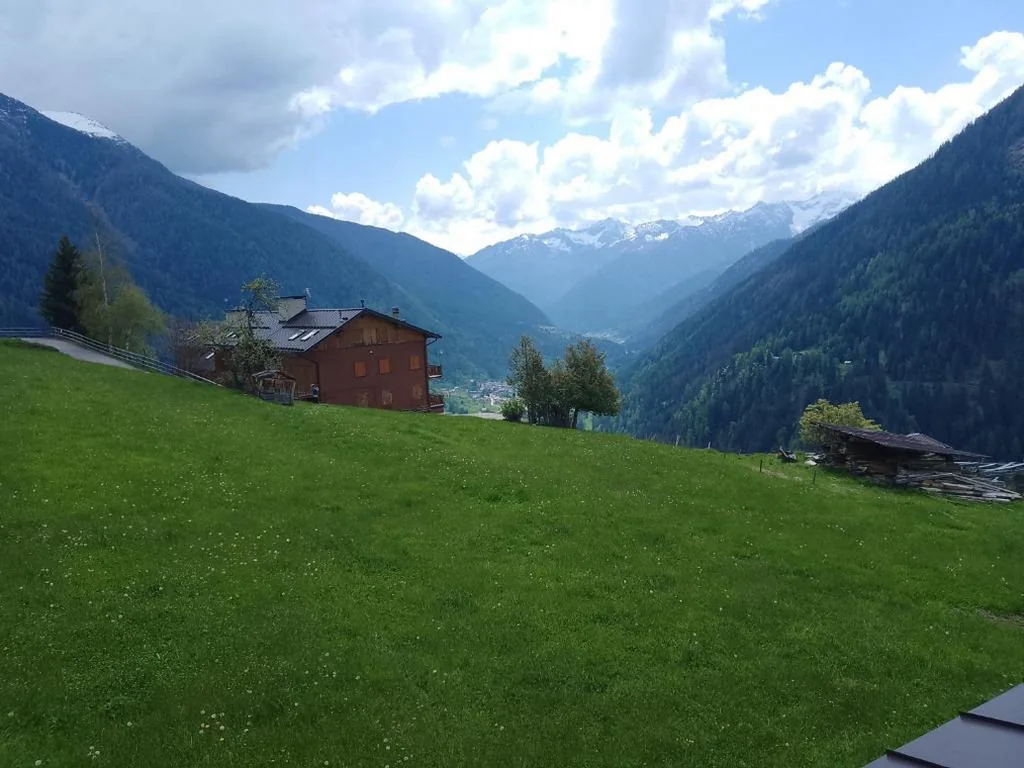 Un balcone sulla Val di Pejo — foto 6