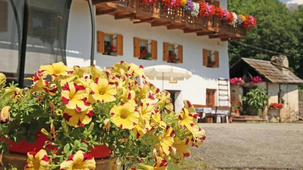 Veltierhof Villnöß — foto 4