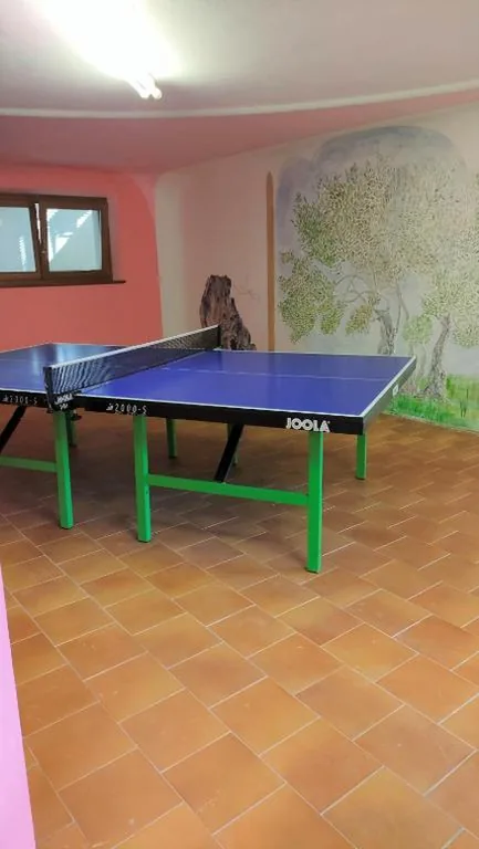 Villa Cares – Pension mit Tischtennis — foto 5