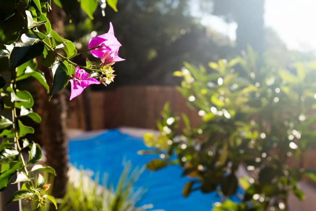 Villa Fiore — foto 6