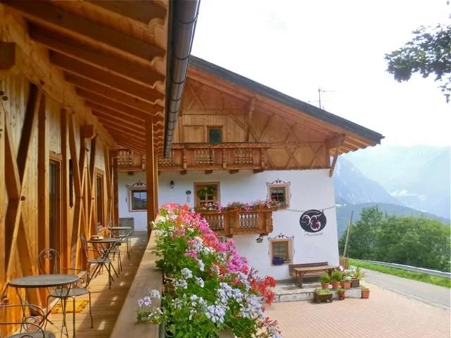 Virtus Et Otium – Feldererhof — foto 6