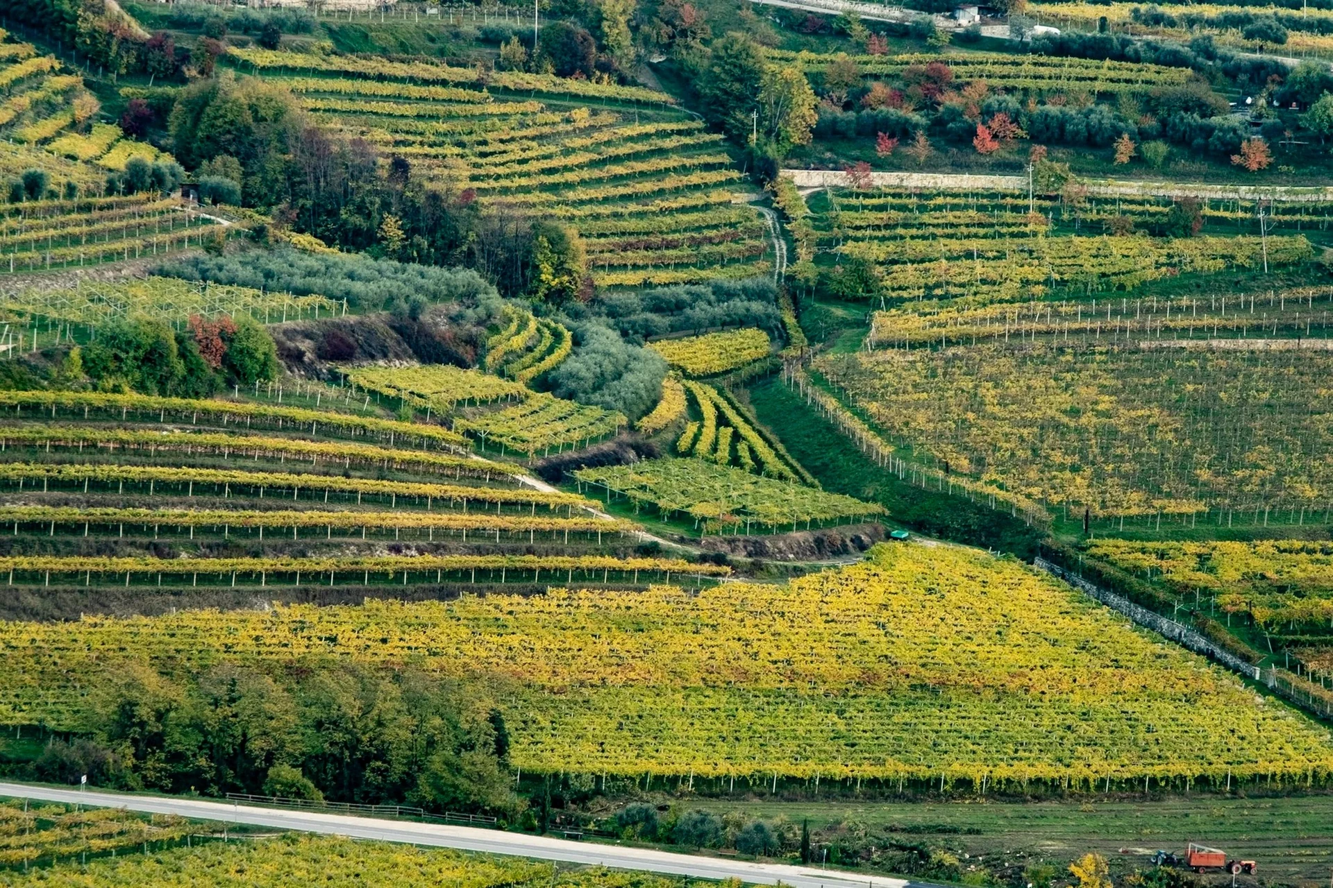 Le colline di vigneti della Valpolicella
