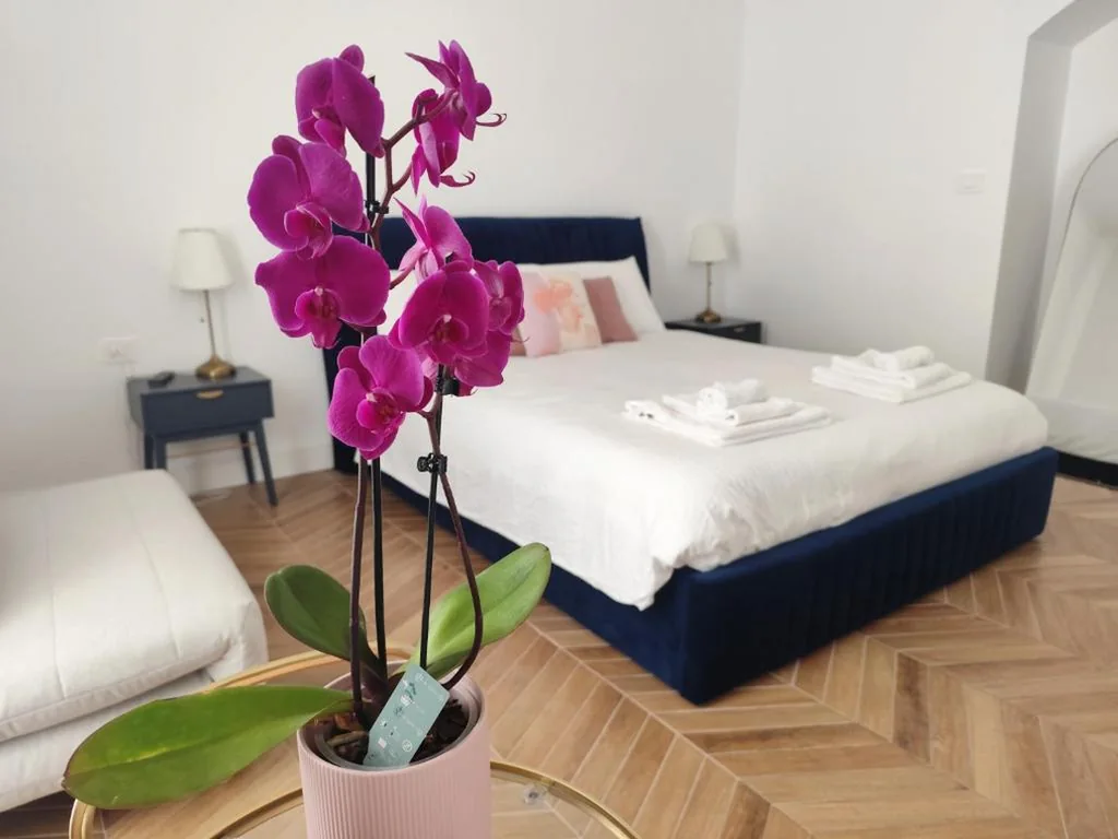 Vatican Eco Suite — foto 7
