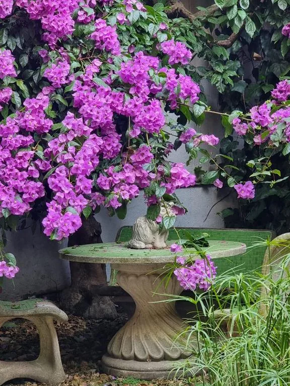 Vatican Fairytale Garden — foto 4