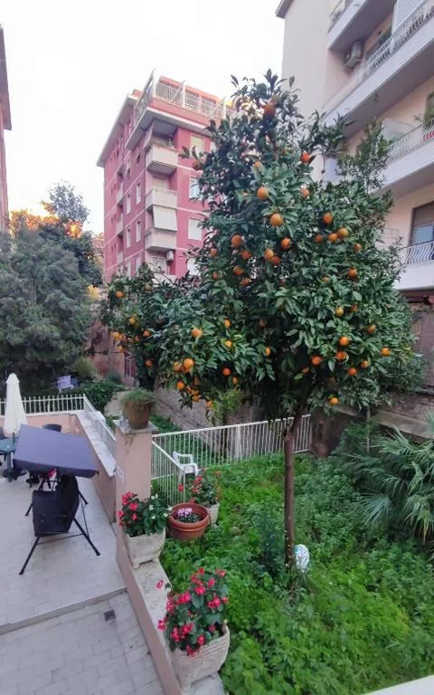 VATICAN GREEN GARDEN — foto 5