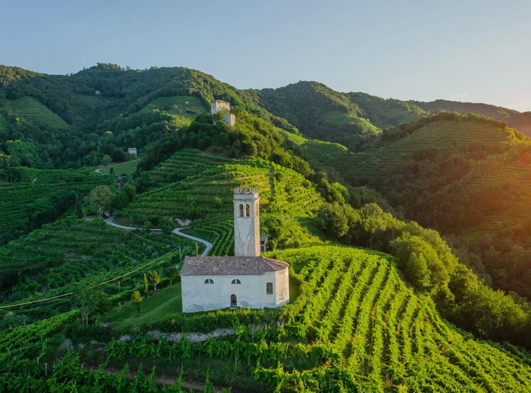 I vigneti terrazzati delle Colline del Prosecco a Valdobbiadene