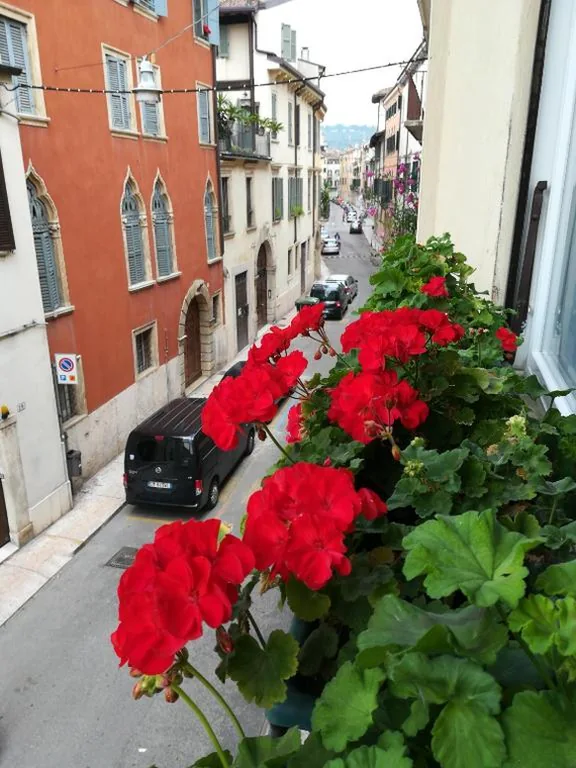 A casa di Luca — foto 7