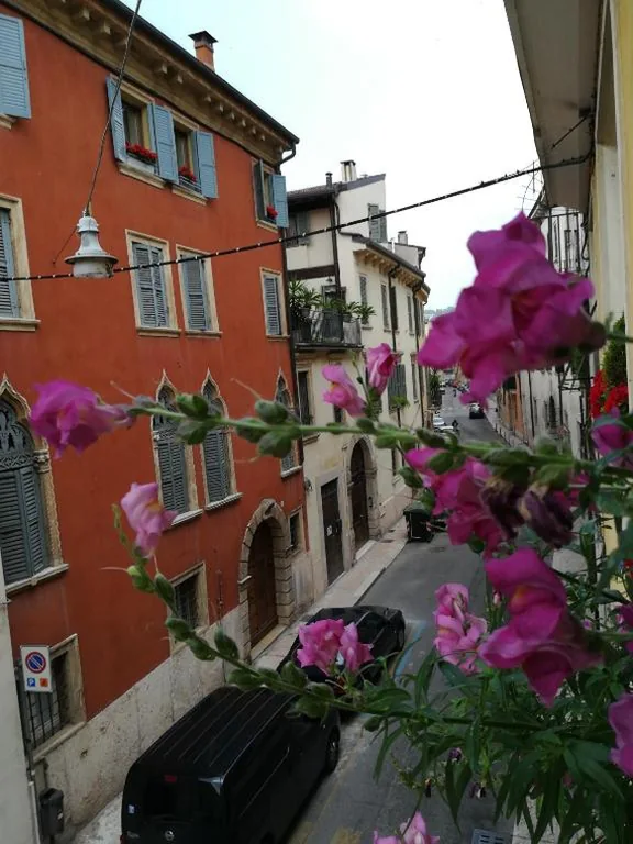 A casa di Luca — foto 8