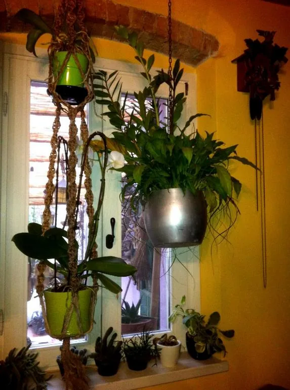 A Casa di Susi — foto 7
