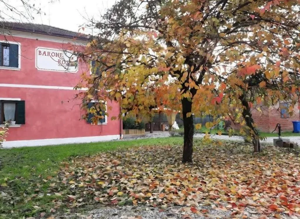 AGRITURISMO Barone Rosso — foto 7