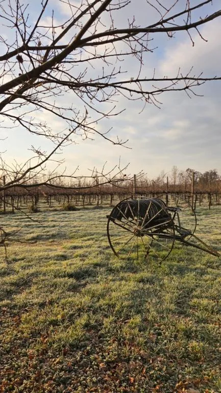 AGRITURISMO Barone Rosso — foto 8