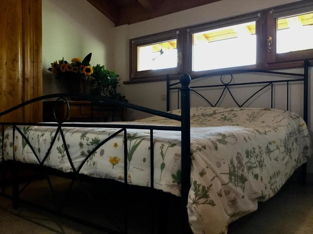 “Al Campo” — foto 6