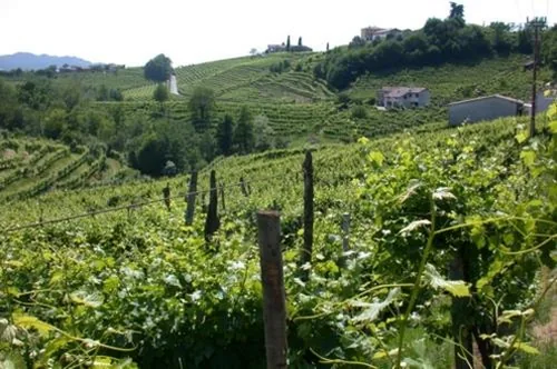 b&b alla pergola — foto 7