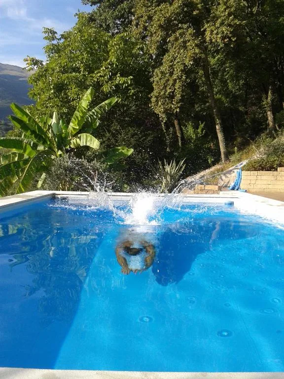 B&B Ca’ Ori — foto 7