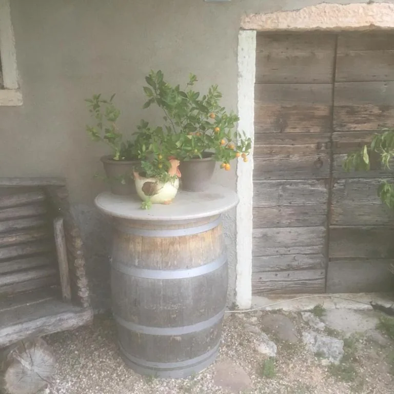 B&b Corte Giare — foto 6