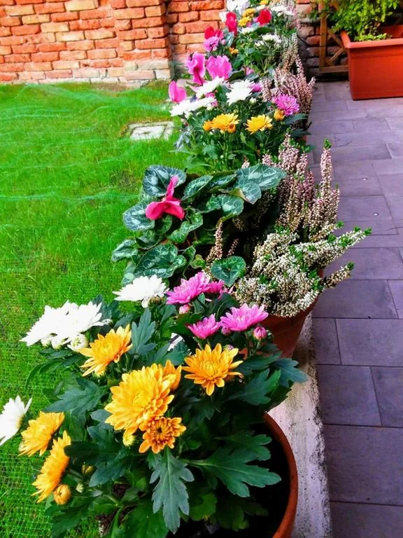 B&B HORTUS — foto 8