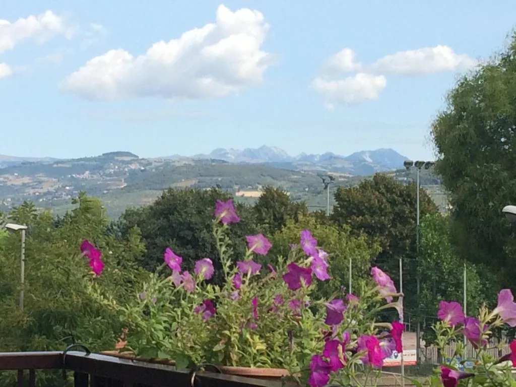 B&B Pergolesi — foto 5