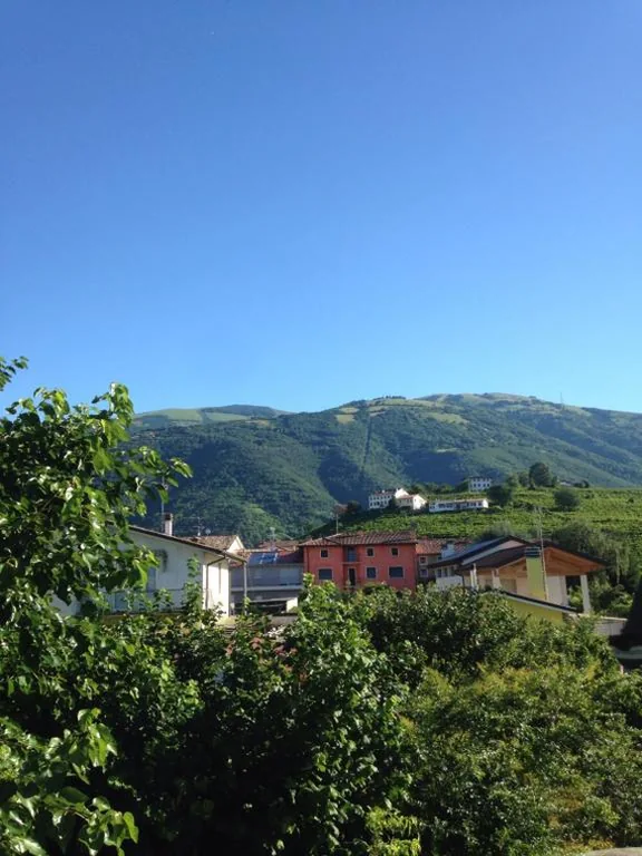 B&B Zanin di Zanin Mauro — foto 6