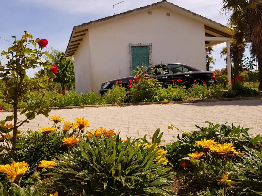 Bungalow bei Emma — foto 5