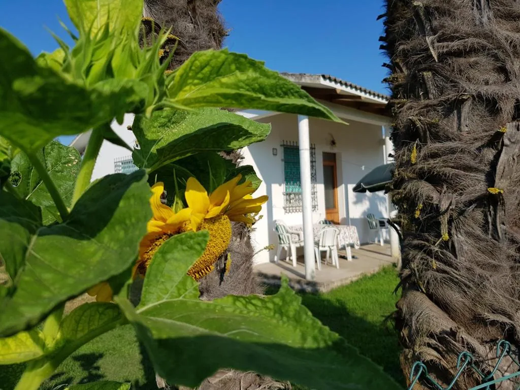 Bungalow bei Emma — foto 7