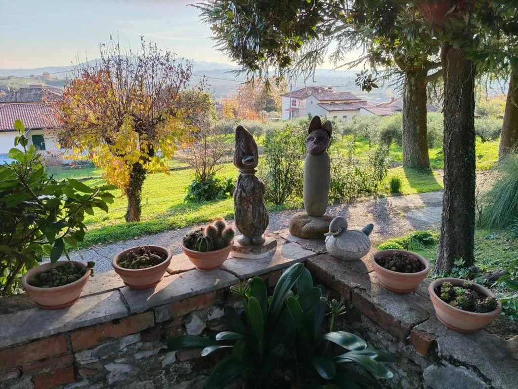 C & C — foto 5
