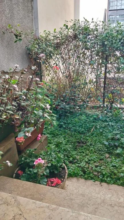 King Room with Garden View — Mavipagi 2