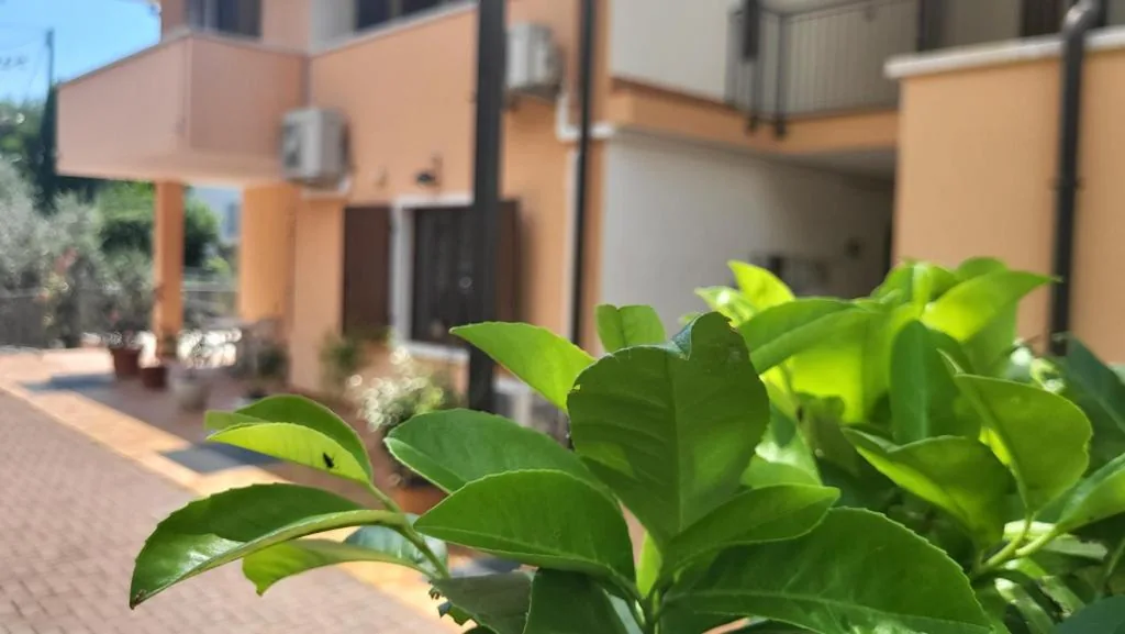 Camera Matrimoniale Budget — Villa Josefine Lake Front – Adults Only