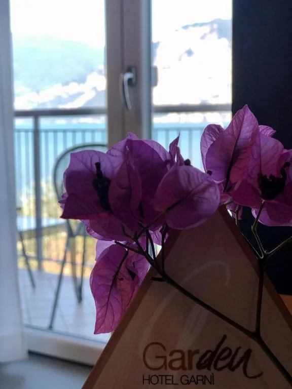 Comfort Double Room with Lake View — Hotel Garden