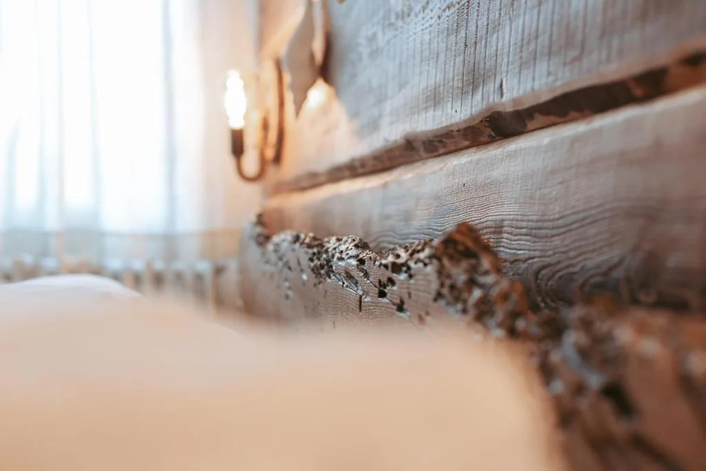 Camera Matrimoniale con Bagno Privato — Laguna Suite B&B