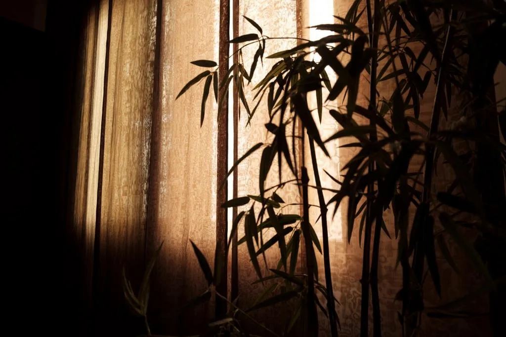 Camera Matrimoniale Deluxe — Ca’ Pozzo Inn