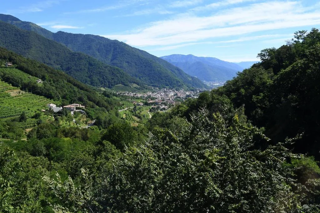 Camera Matrimoniale/Doppia con Letti Singoli con Vista Montagna — Bed and Breakfast Isabella