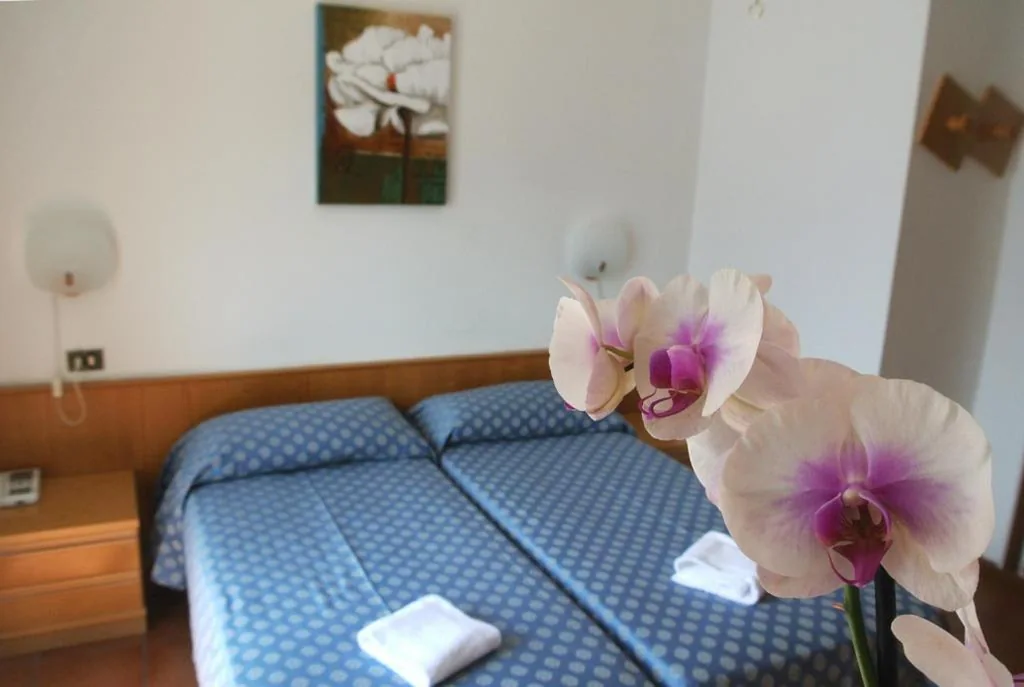 Double or Twin Room with Lake View — Hotel Castell – Montagnoli Group
