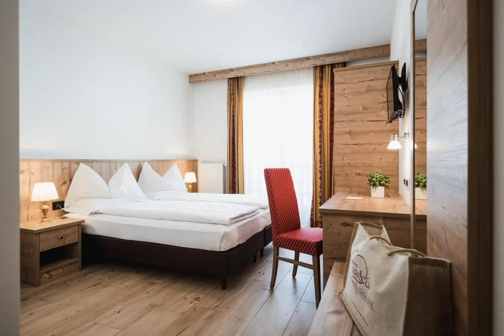 Double or Twin Room with Mountain View — Laguscei Dolomites Mountain Hotel