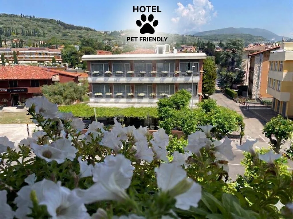 Camera Matrimoniale/Doppia con Letti Singoli — Hotel Benaco Garda ***S