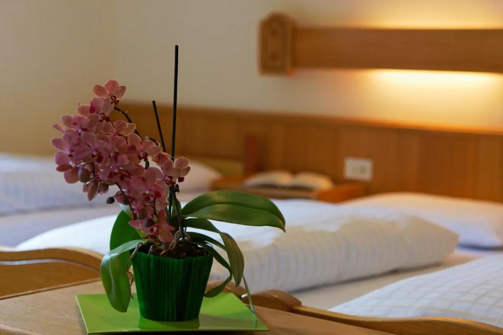 Camera Matrimoniale/Doppia con Letti Singoli — Hotel Genziana