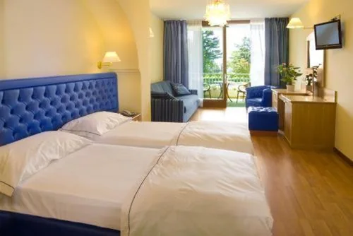 Camera Matrimoniale Superior con Balcone — Hotel Alexander