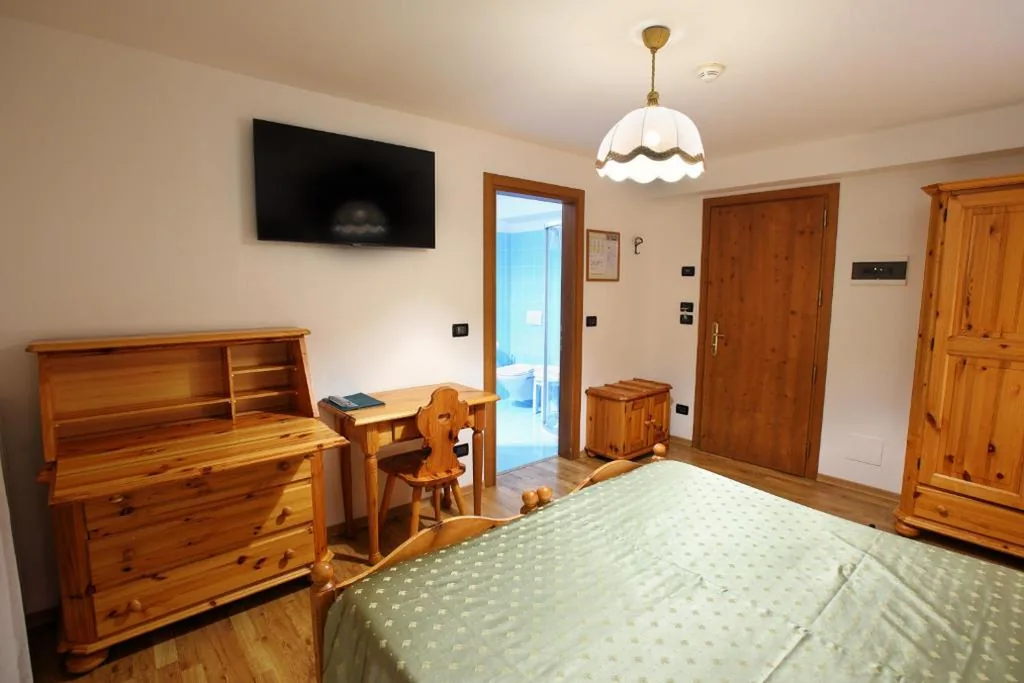 Double Room for Single Use — Hotel Des Alpes